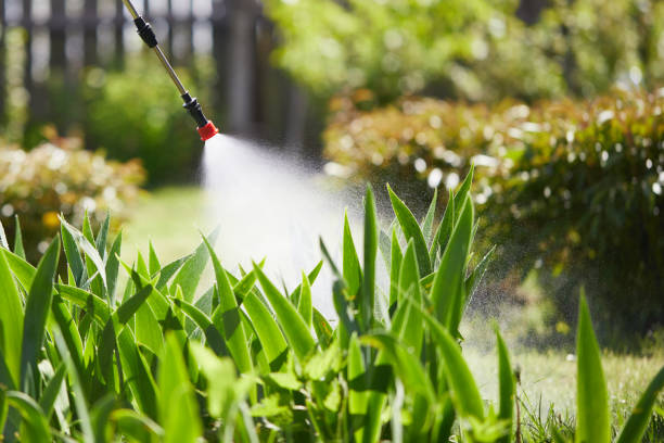 24/7 Emergency Cockroach Control experts in Little Rock, AR