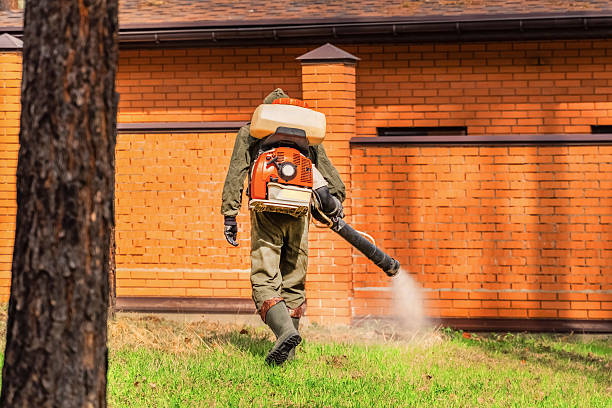 Trusted Cockroach Control service in Little Rock, AR - Nex Pest Control